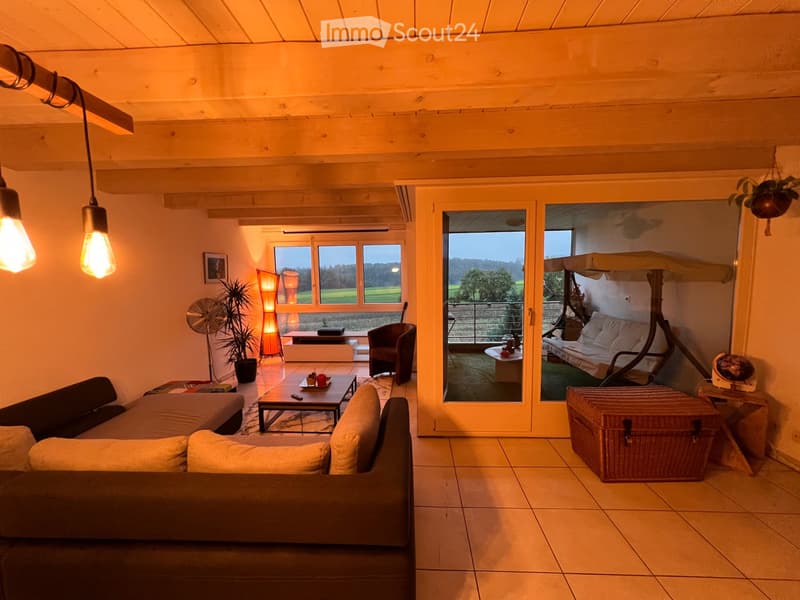 Duplex 3,5 pièces meublé à Neyruz sans vis-à-vis avec vue (1)