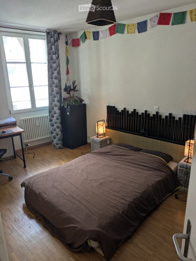 Sous-location / subletting court terme dès le 10 octobre (4)