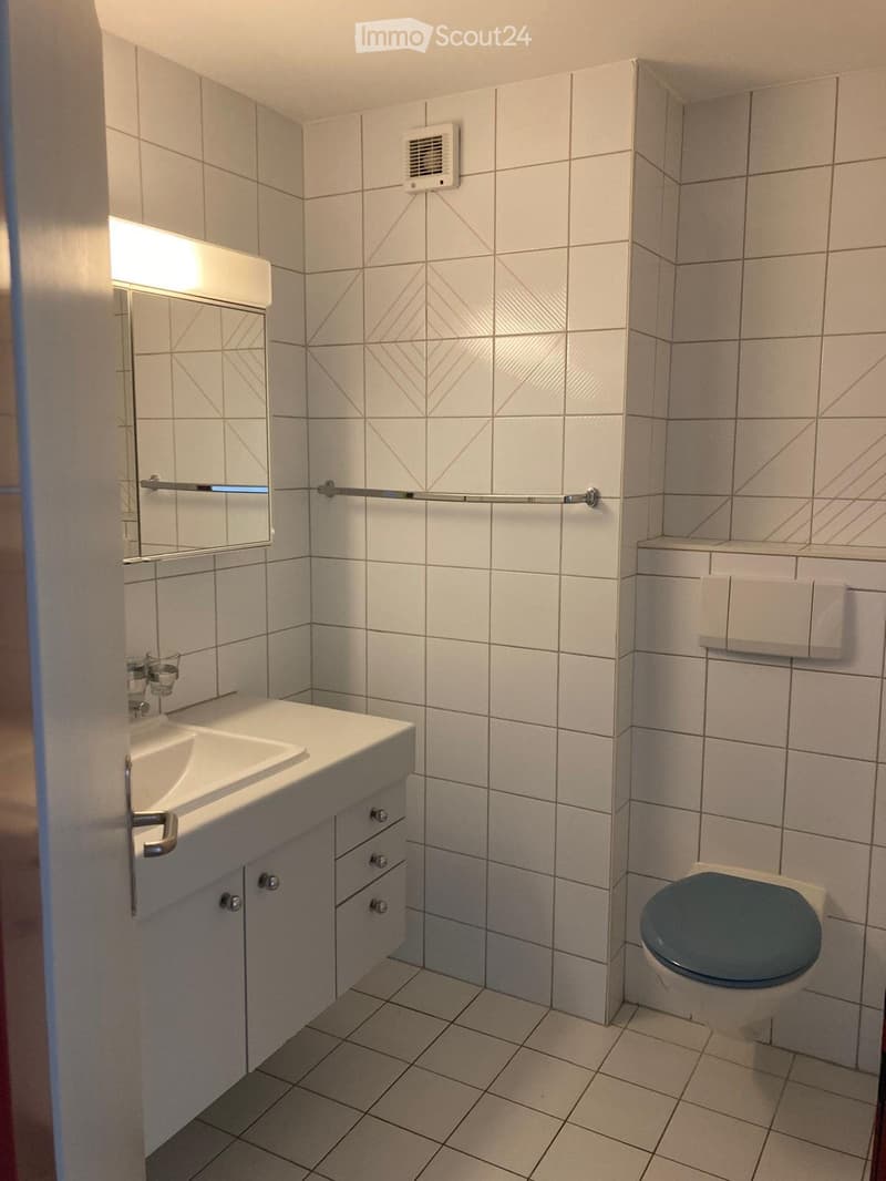 À louer - bel appartement de 4 pièces 1/2 avec grand balcon (5)
