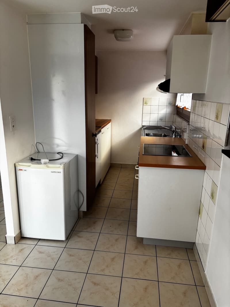 À louer 2.5 pièces (3)