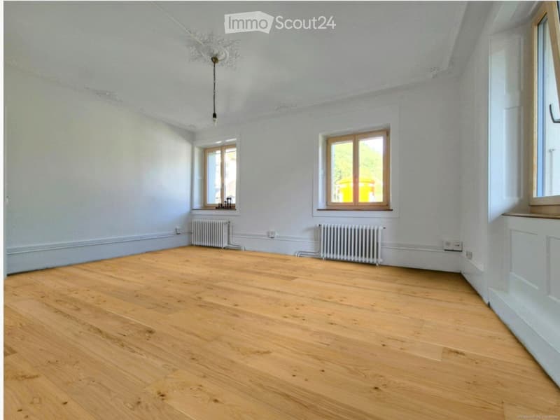 Duplex 4.5 pc, jardin, balcon Élec. & charges incluses (1)