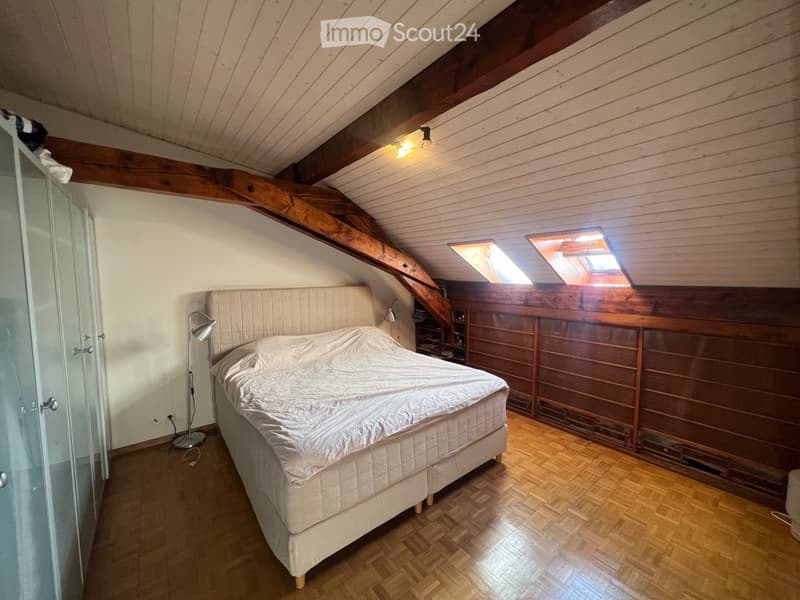 Lake view rooftop furnished duplex in Eaux-Vives/Geneva (4)