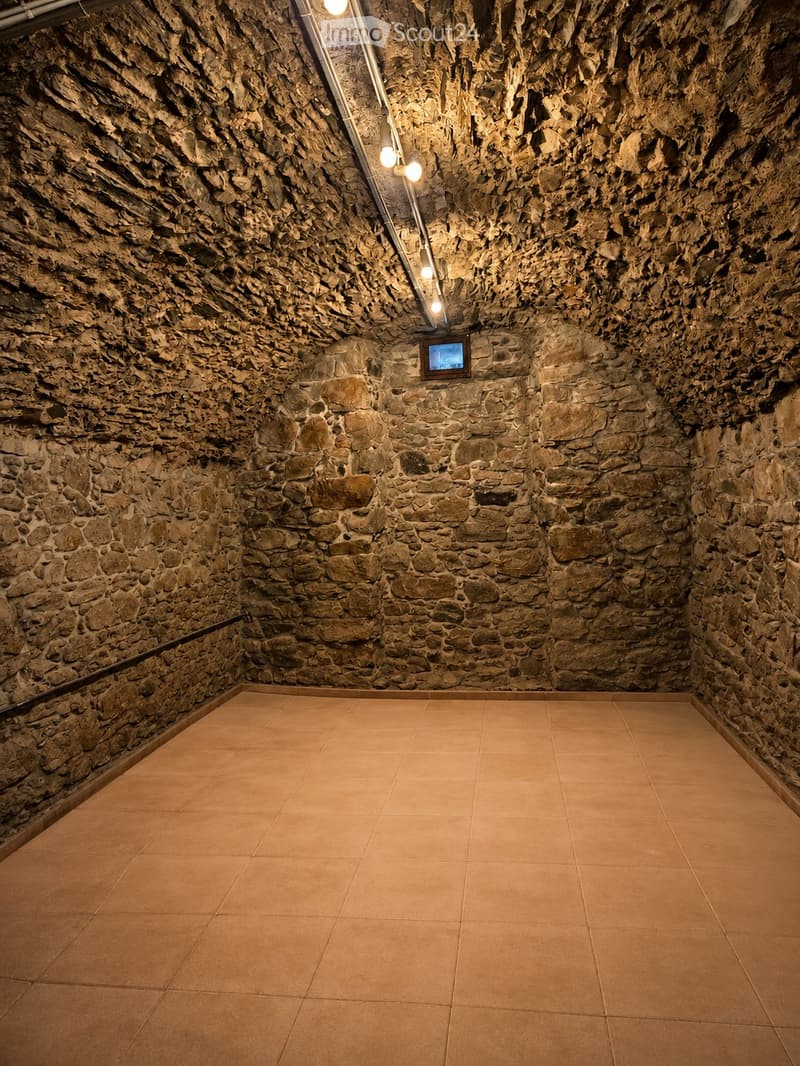 Restaurant à reprendre à Bramois -Caveaux voutés et Terrasse (3)