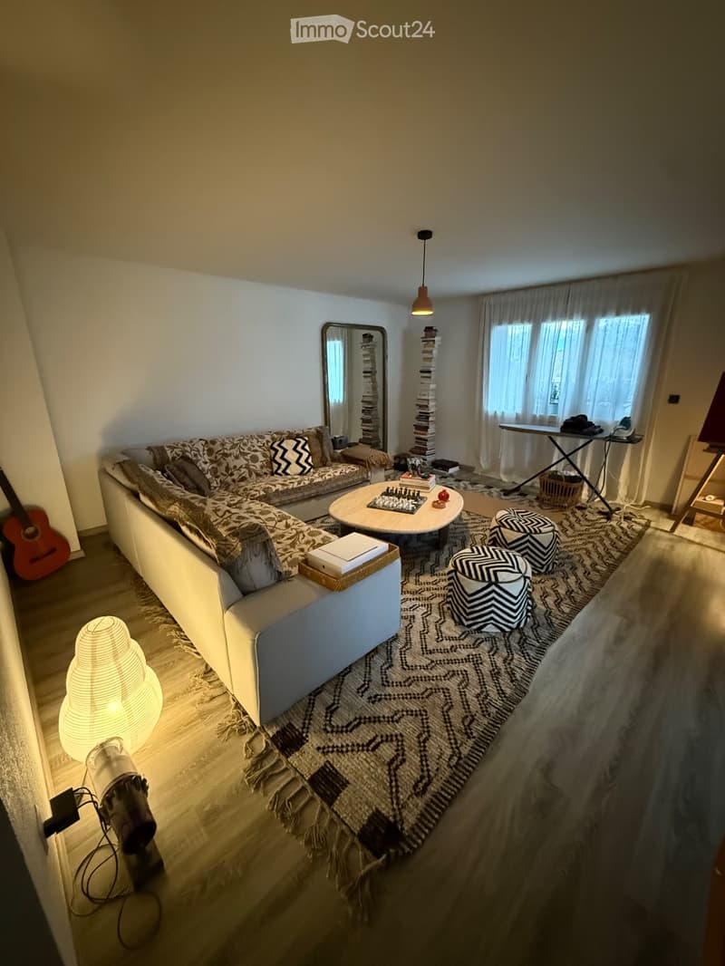 Chambre privée - Magnifique appartement vue Lac (3)
