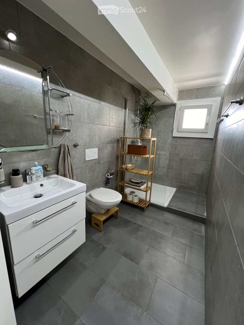 Chambre privée - Magnifique appartement vue Lac (2)