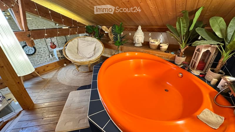 Location appartement duplex (3)
