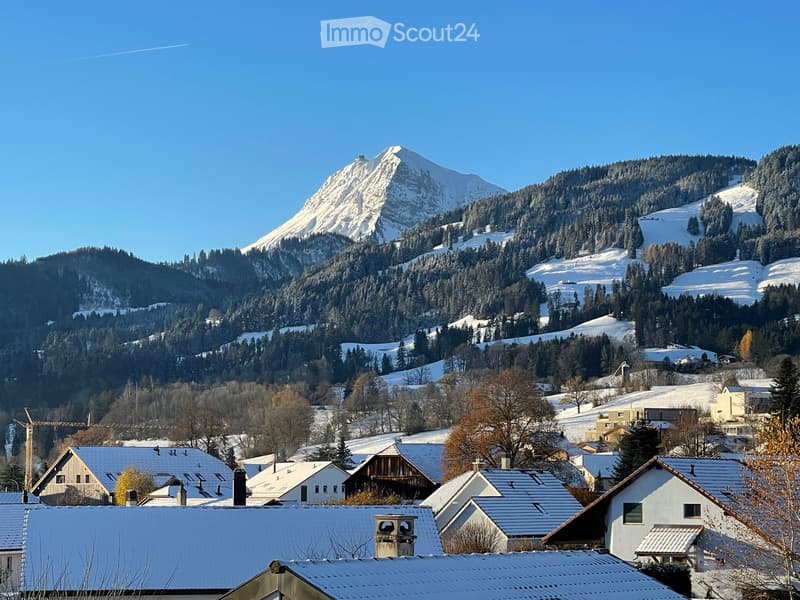 Un Magnifique Attique de 165m2 (3)