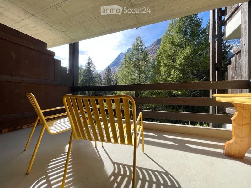 Location - appartement petite station familiale (4)
