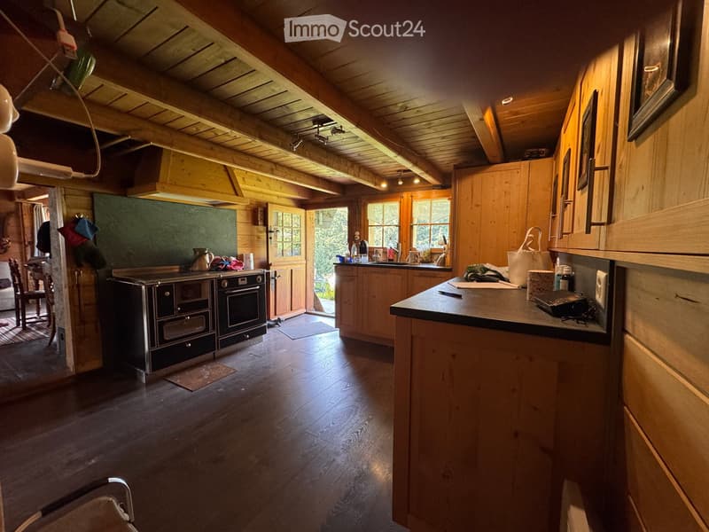 Chalet individuel authentique, saison hiver, Gryon Frience (2)