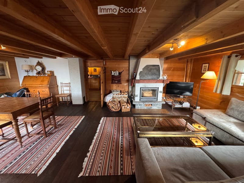 Chalet individuel authentique, saison hiver, Gryon Frience (4)