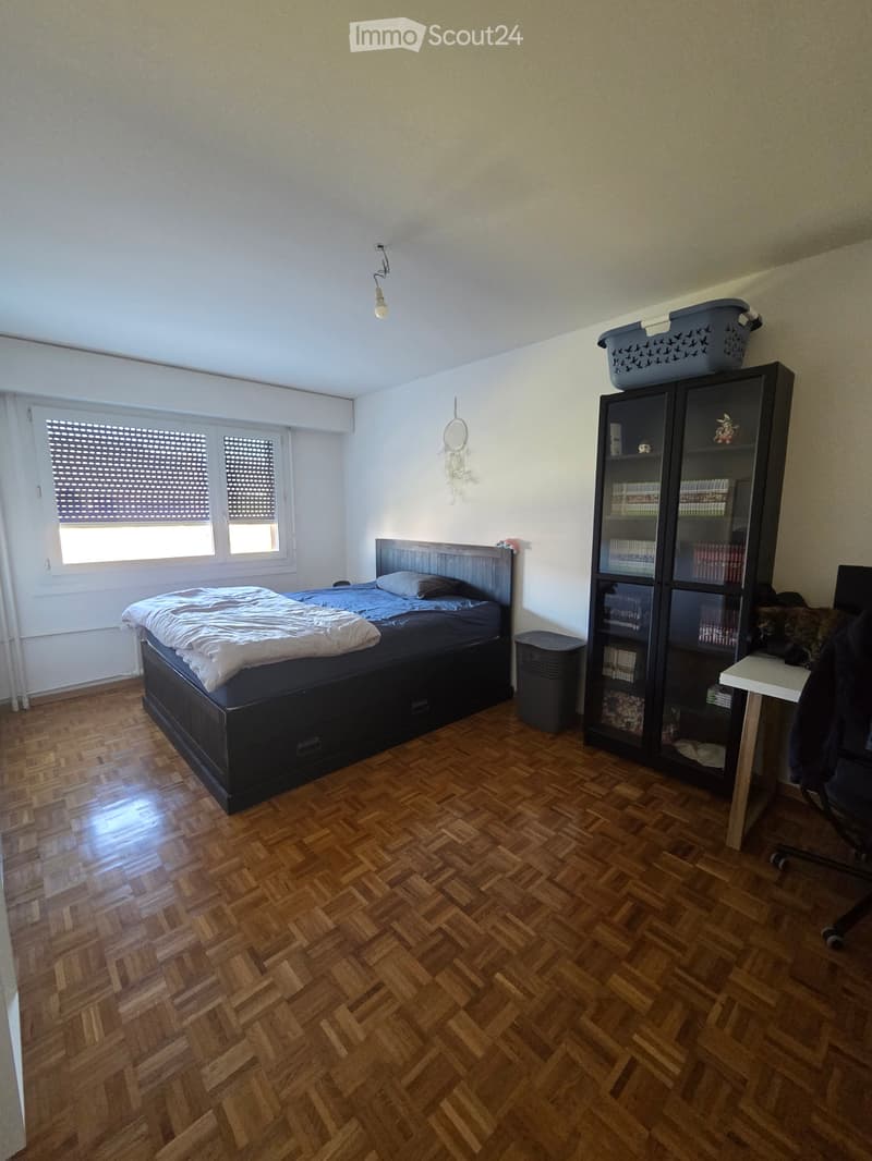 Appartemment avec garage intérieur Nyon (4)