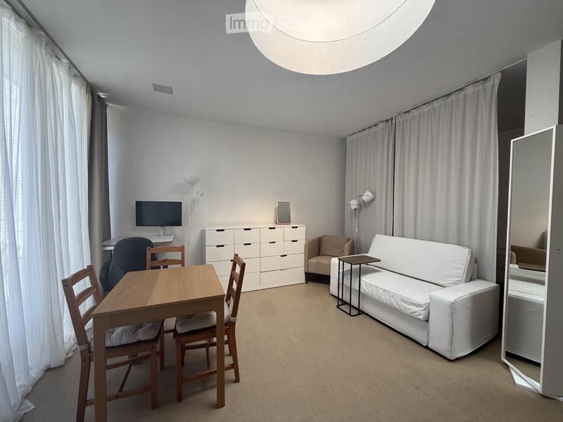 Appartement 1/2 meublé 32 m² avec terrasse Lausanne 1003 (1)