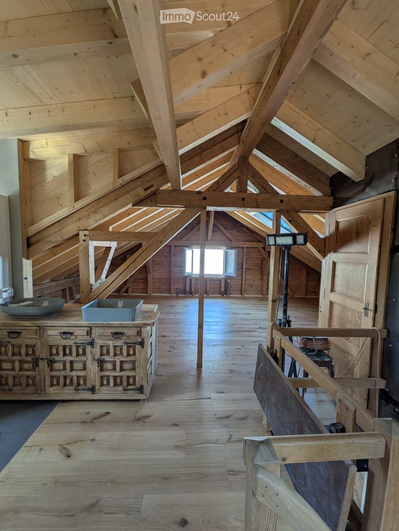 Petit Chalet au bord de la Gérine (4)