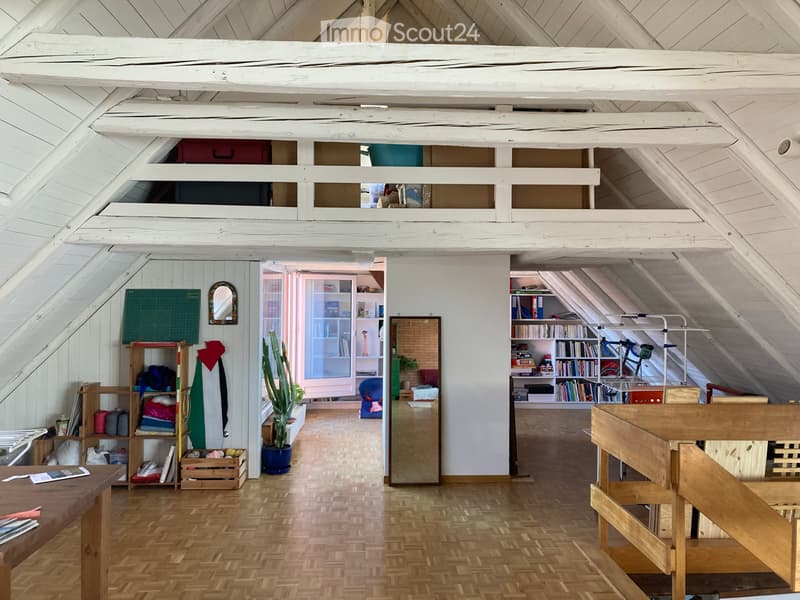 Beau et original; duplex à remettre. (2)