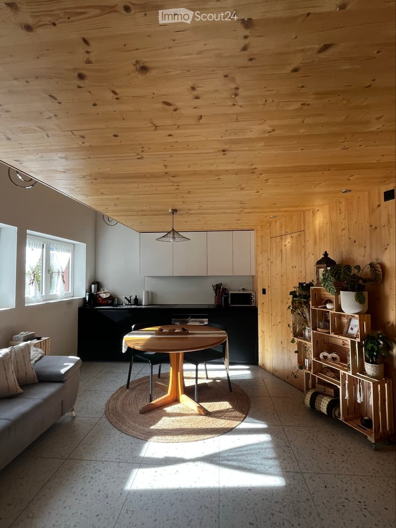 Maisonnettes avec jardin-terrasse aux Evouettes (2)