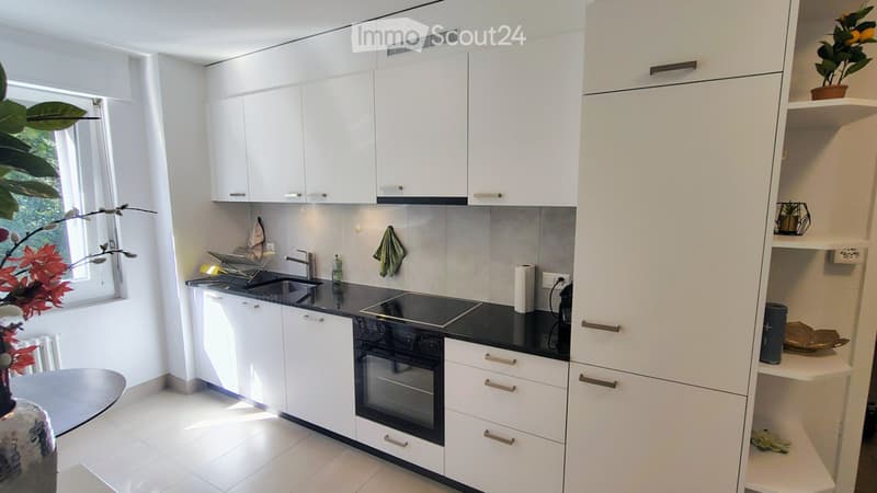 Appartement meublé de 2,5 pièces avec terrasse  Fribourg (3)