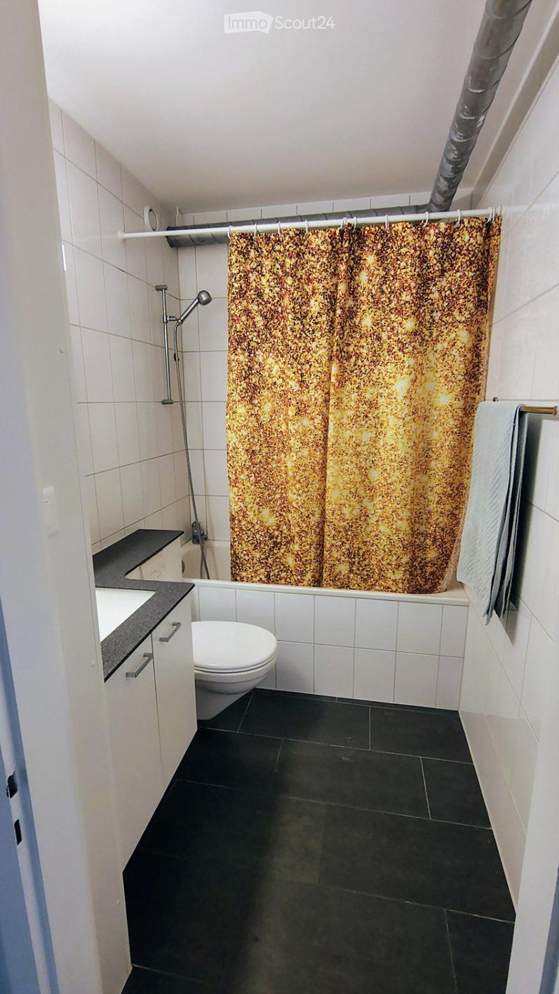 Appartement meublé de 2,5 pièces avec terrasse  Fribourg (5)