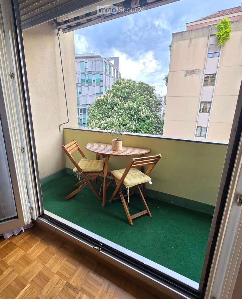 Location appartement eaux vives 5min à pied du lac (1)