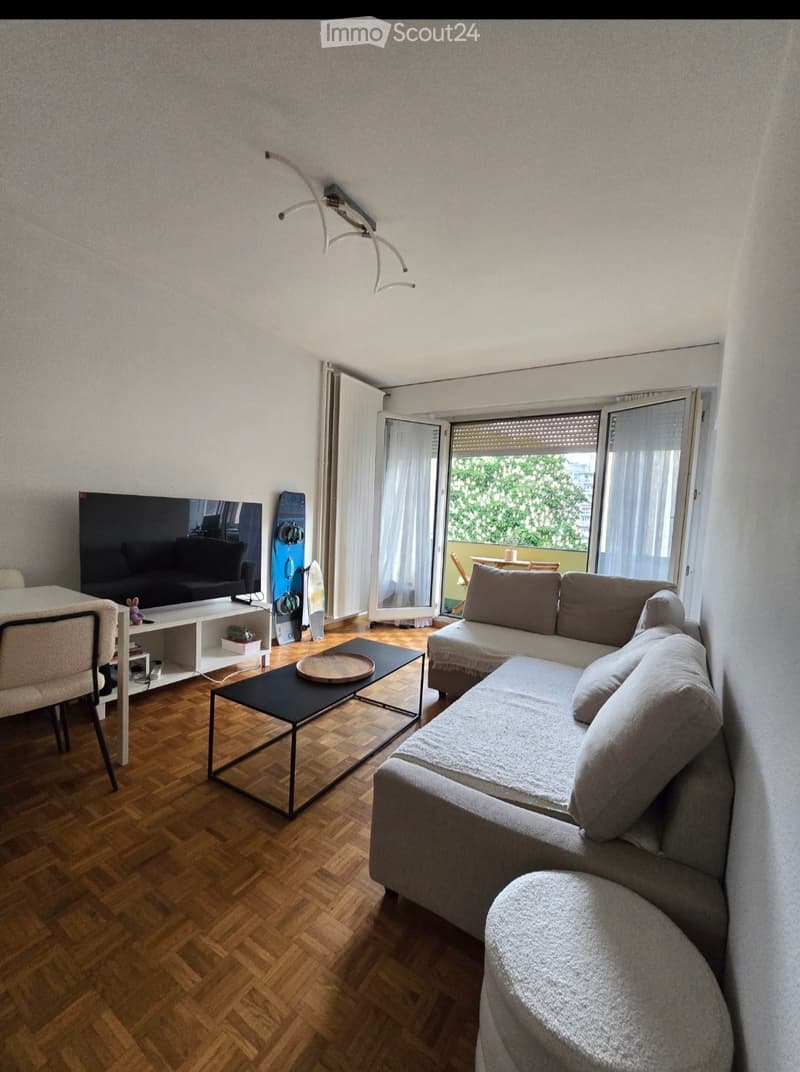 Location appartement eaux vives 5min à pied du lac (4)