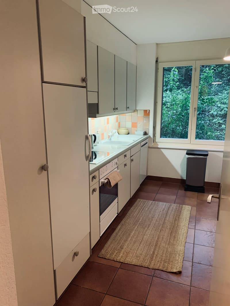Appartement 3,5 pièces à louer (5)
