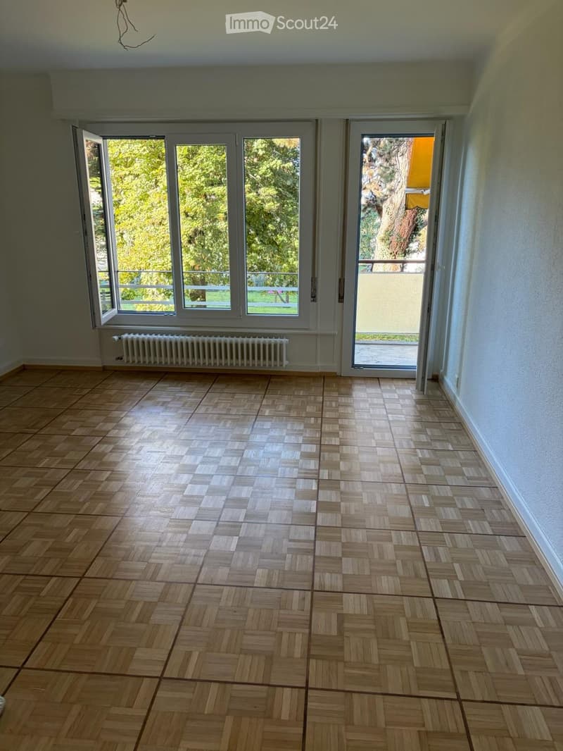 Appartement de 4.5 pieces (5)