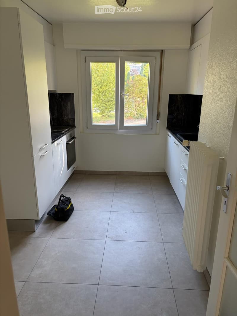 Appartement de 4.5 pieces (2)