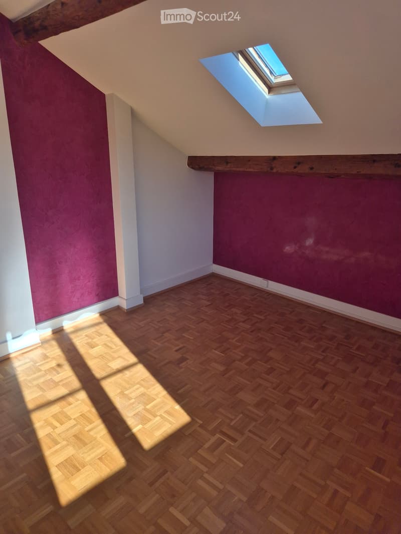 Appartement avec charme de l'ancien (3)