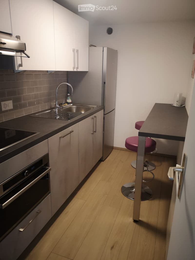 chambre à louer dans une villa à Plan-les-ouates (2)