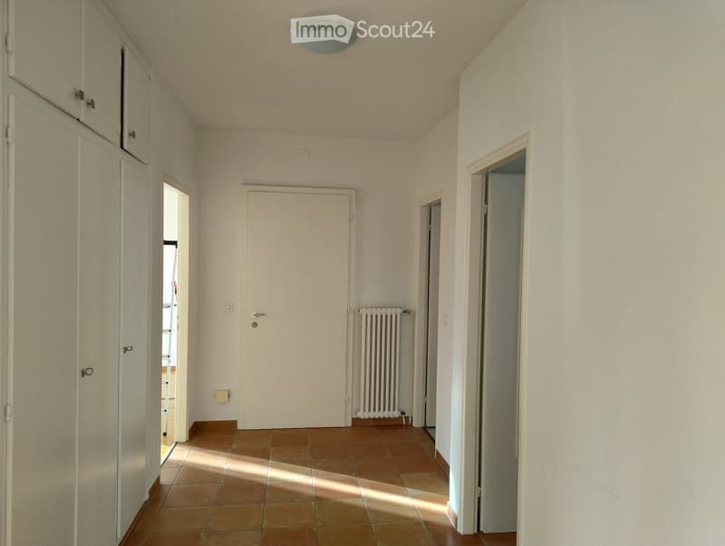 Luminoso appartamento a Minusio (2)