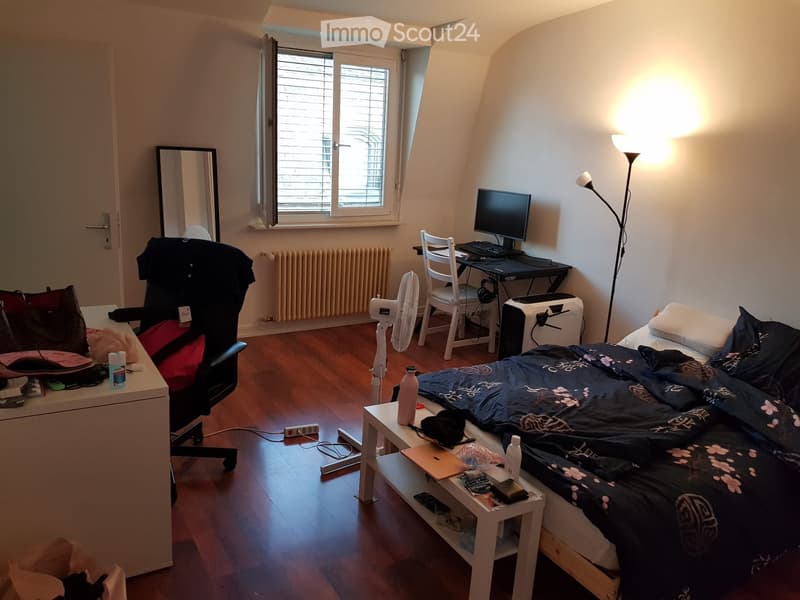 Studio lumineux de 27 m² au centre de Genève (1)