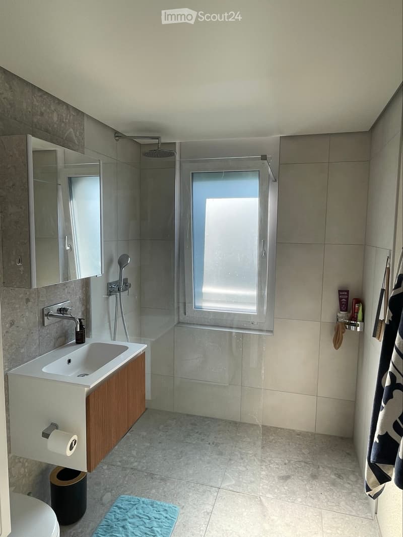 Appartement neuf avec vue sur le lac (4)