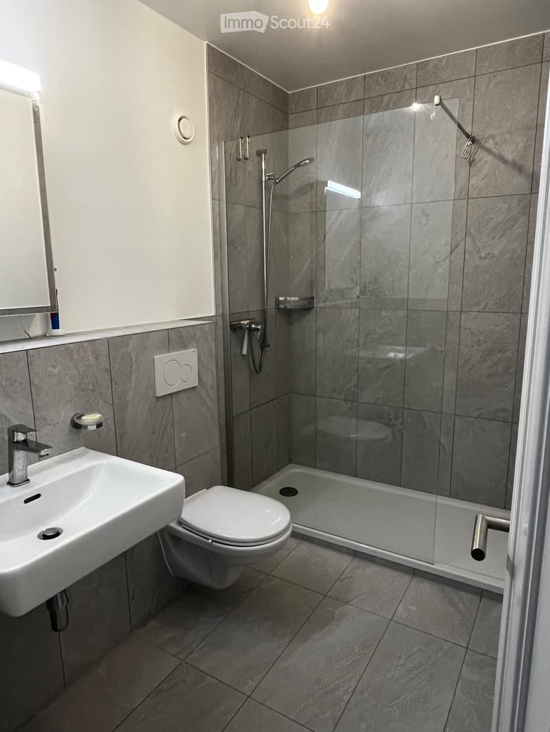 Très bel appartement dernier étage vue lac 3 chambres (5)