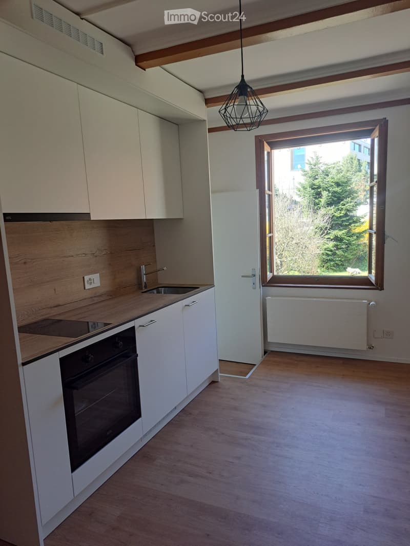Magnifique appartement tout rénové au centre-ville (1)
