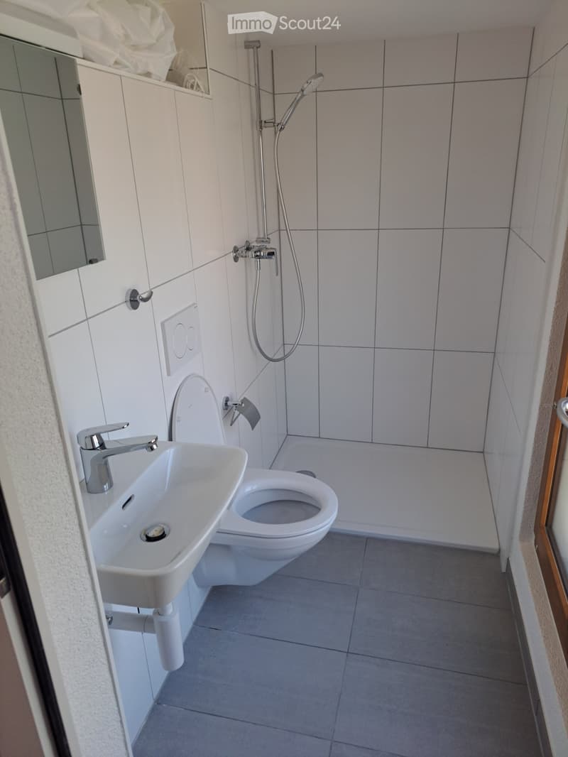 Magnifique appartement tout rénové au centre-ville (3)