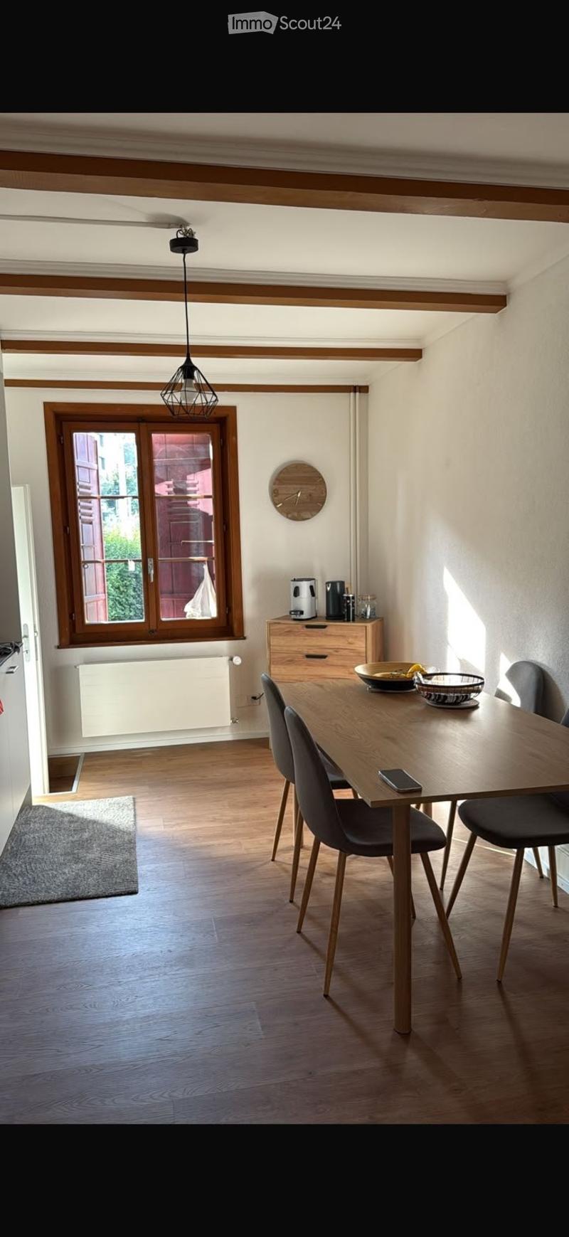 Magnifique appartement tout rénové au centre-ville (4)