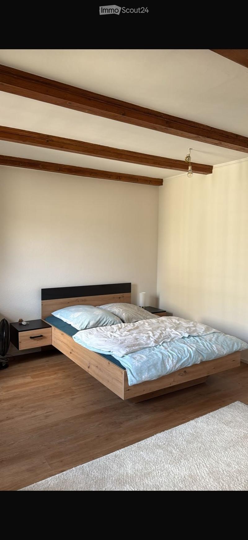 Magnifique appartement tout rénové au centre-ville (5)