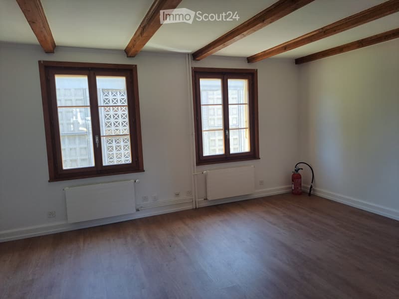 Magnifique appartement tout rénové au centre-ville (2)