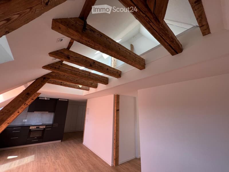 Magnifique appartement de 4 pièces (2)