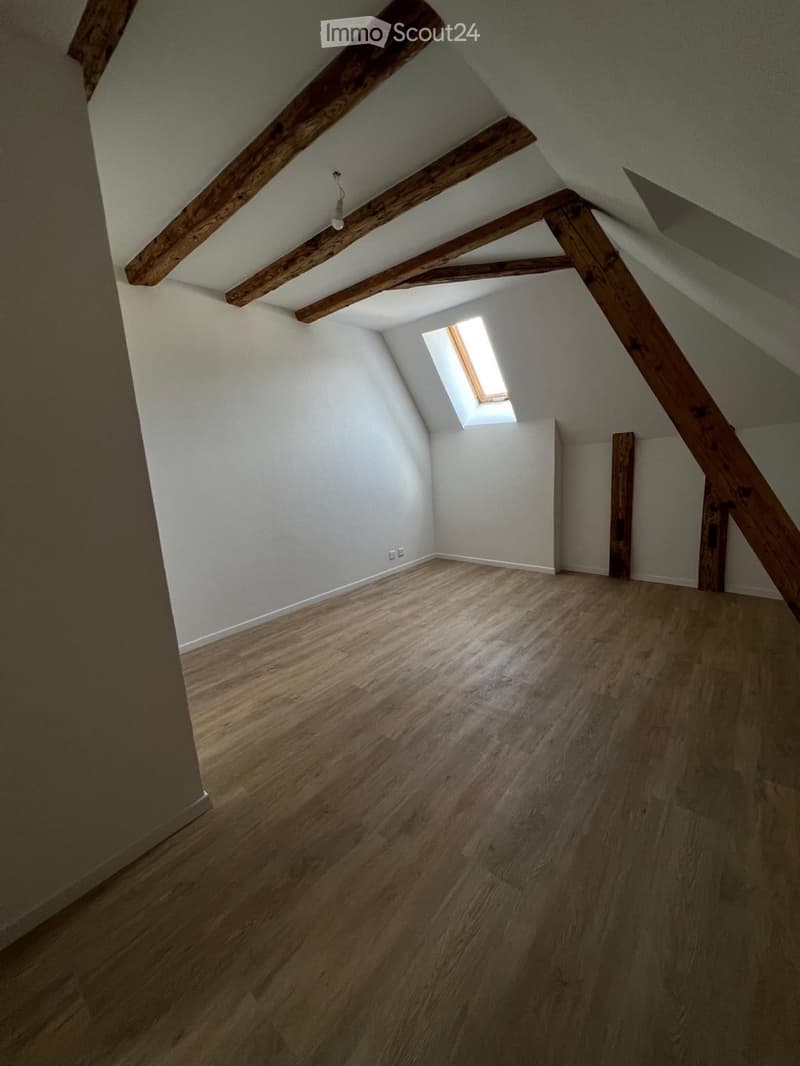 Magnifique appartement de 4 pièces (3)