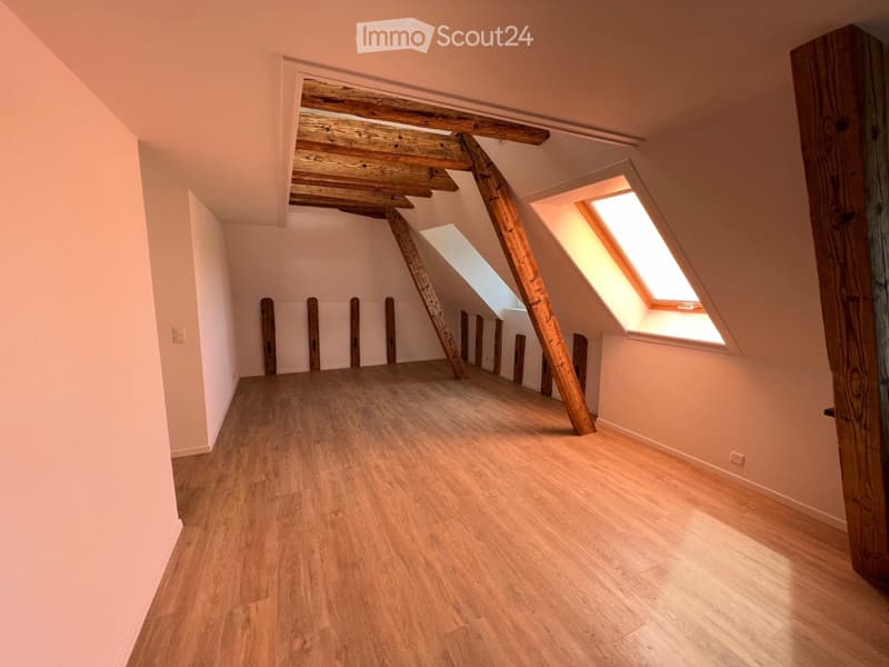 Magnifique appartement de 4 pièces (4)