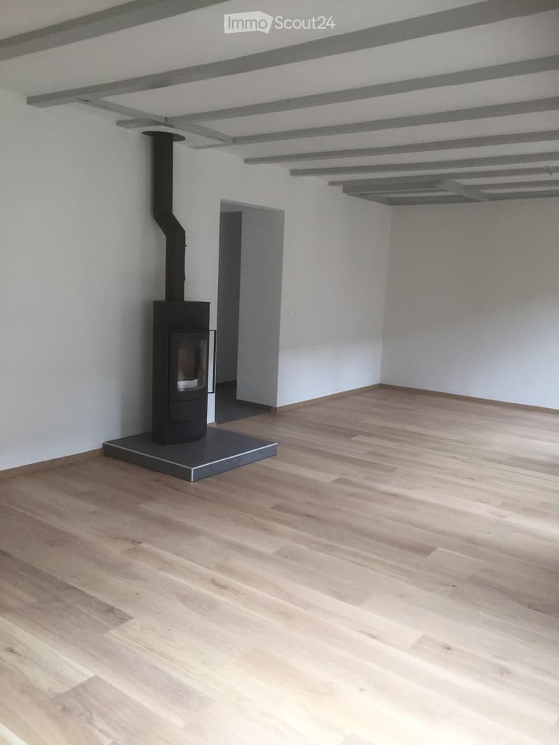 Beau duplex à louer au centre-ville de Bienne (5)