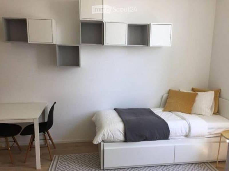 Disponible de suite Joli studio dans une résidence moderne (5)