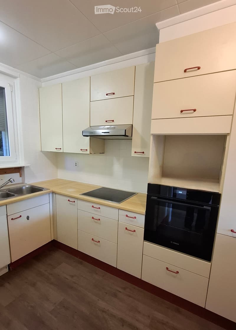 Appartement 4.5 pièces avec jardin (3)