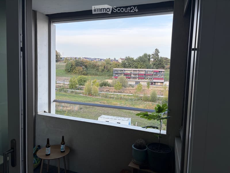 Magnifique appartement de 1.5 pièce (4)