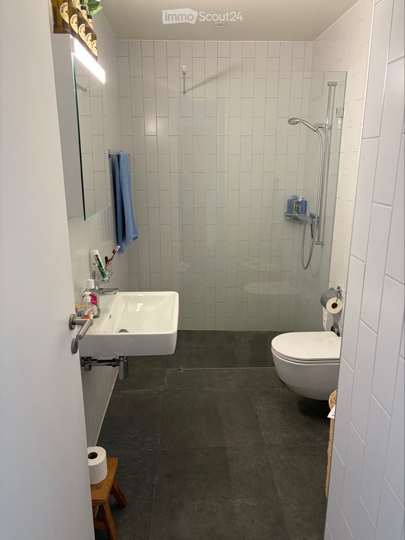 Magnifique appartement de 1.5 pièce (3)