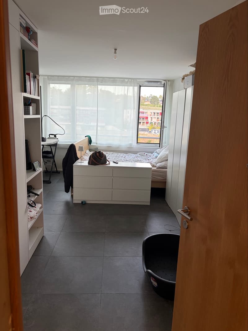 Magnifique appartement de 1.5 pièce (2)