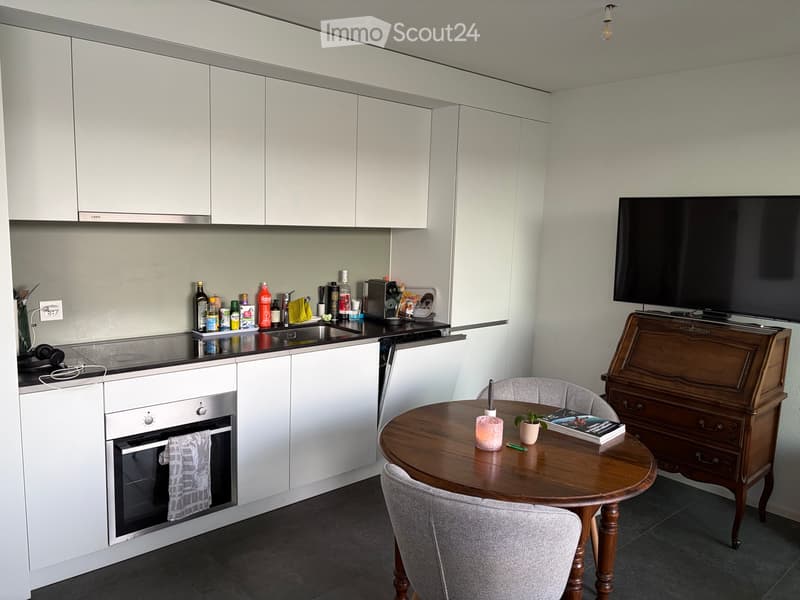 Magnifique appartement de 1.5 pièce (1)