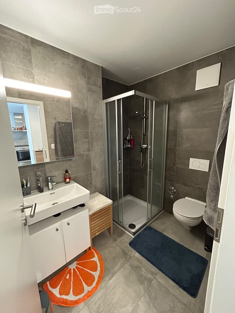 Appartement 2.5 pièce à Leytron (4)