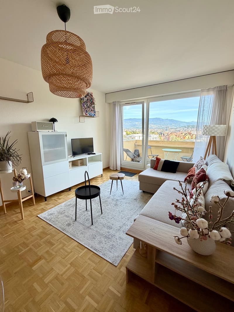Bel appartement 3 pièces avec balcon au 10e et dernier étage (1)