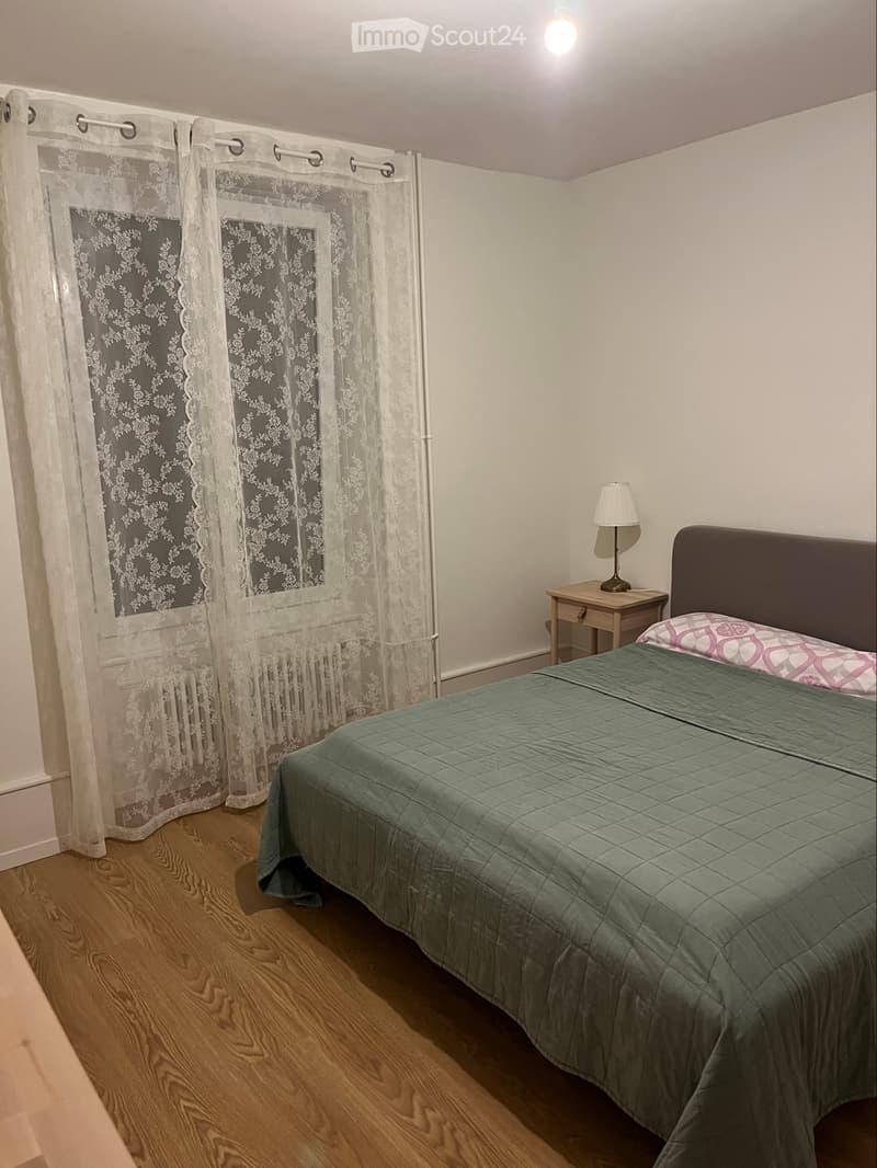 Appartement 4 pièces rénové au centre de Colombier (3)